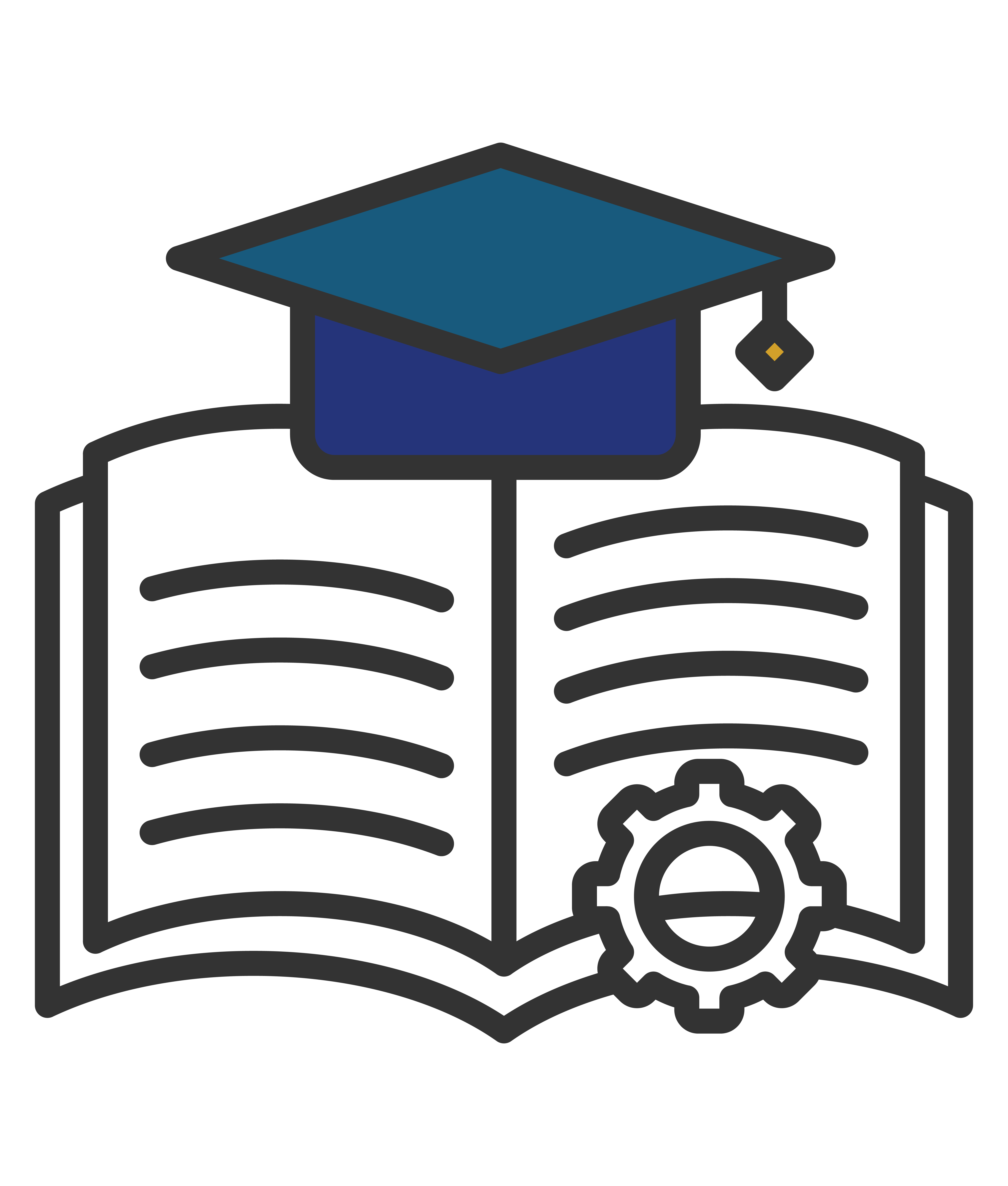 curriculum